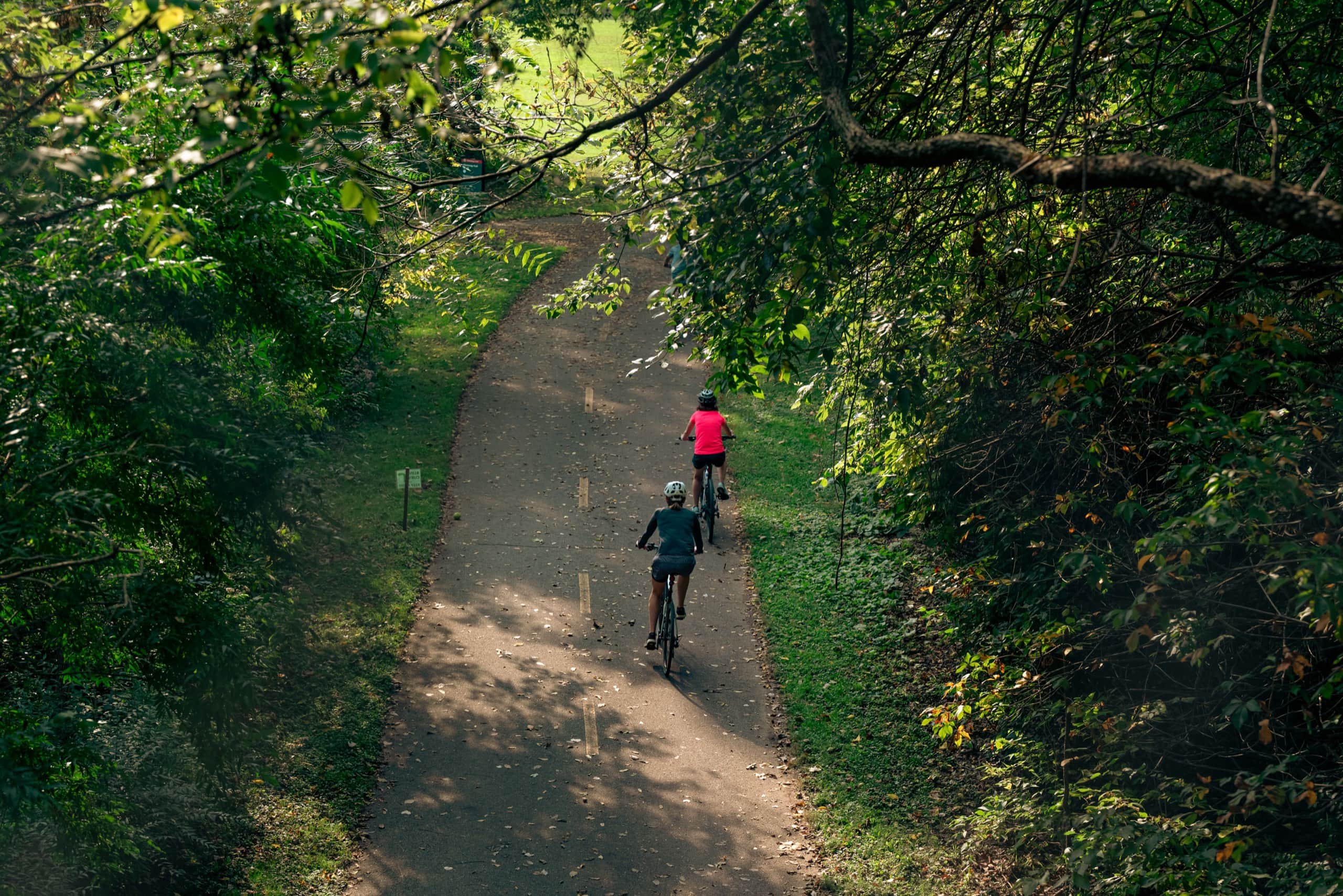 Two cyclists riding a shaded wooded trail